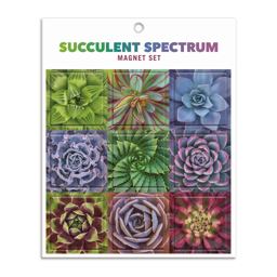 Succulent Spectrum Magnet Set