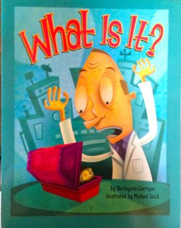 What Is It?: Inside Theme Book