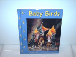 Baby Birds