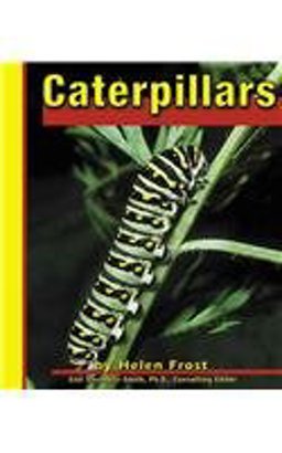 Caterpillars