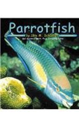 Parrotfish