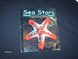Sea Stars