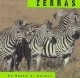 Zebras