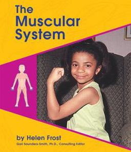 The Muscular System