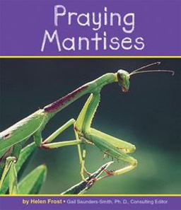 Praying Mantises