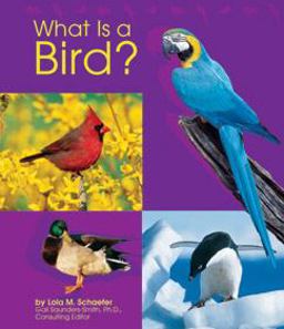 What Is a Bird?