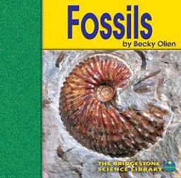 Fossils