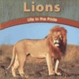 Lions