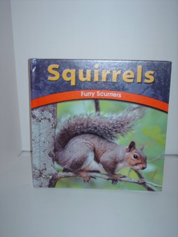 Squirrels