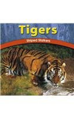 Tigers