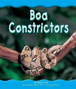 Boa Constrictors