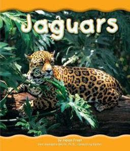 Jaguars