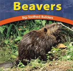 Beavers