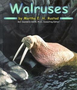 Walruses