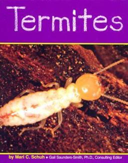 Termites