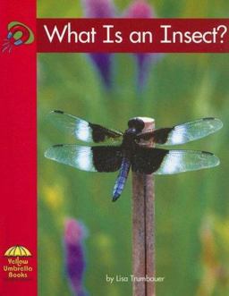 What Is an Insect?