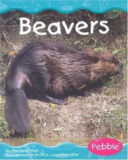 Beavers