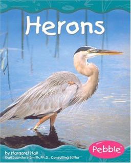 Herons