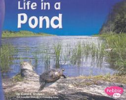 Life in a Pond