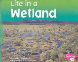 Life in a Wetland