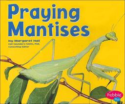 Praying Mantises