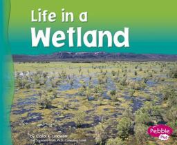 Life in a Wetland