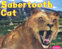 Sabertooth Cat