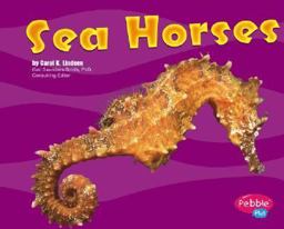 Sea Horses