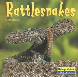 Rattlesnakes