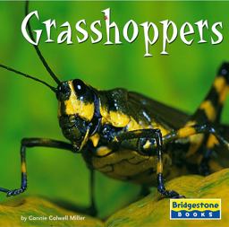Grasshoppers