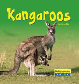 Kangaroos Kangaroos