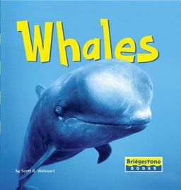 Whales