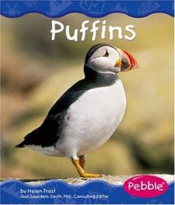 Puffins