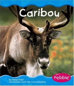 Caribou