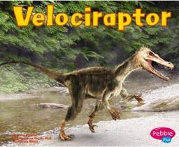 Velociraptor