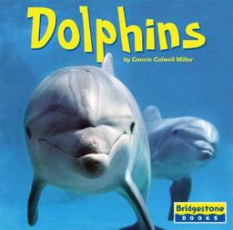 Dolphins