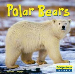 Polar Bears