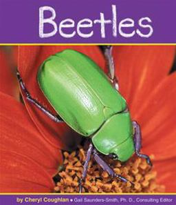Beetles