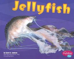Jellyfish