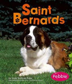 Saint Bernards Saint Bernards