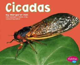 Cicadas Cicadas