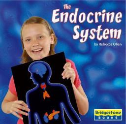 The Endocrine System The Endocrine System