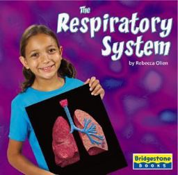The Respiratory System The Respiratory System
