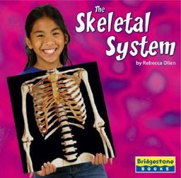 The Skeletal System The Skeletal System