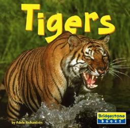 Tigers