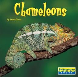 Chameleons