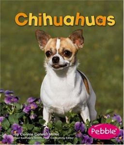 Chihuahuas