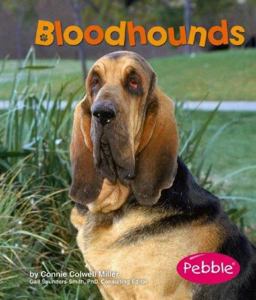 Bloodhounds