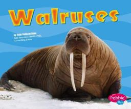 Walruses Walruses