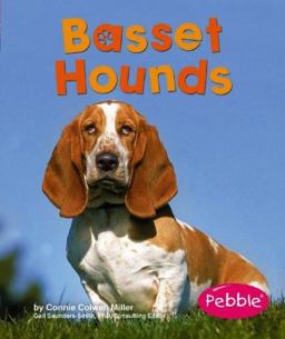 Basset Hounds